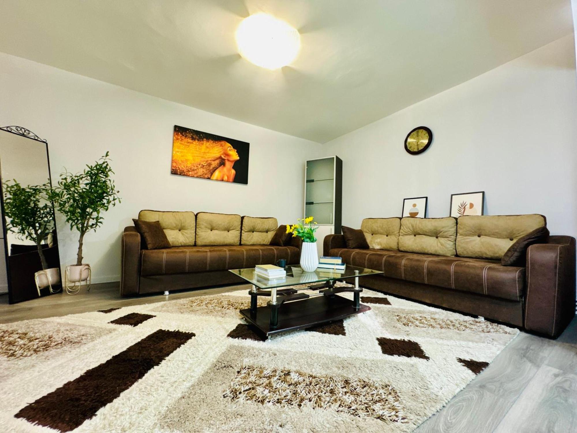טימישוארה Joy City Stay Spacious Comfortable מראה חיצוני תמונה