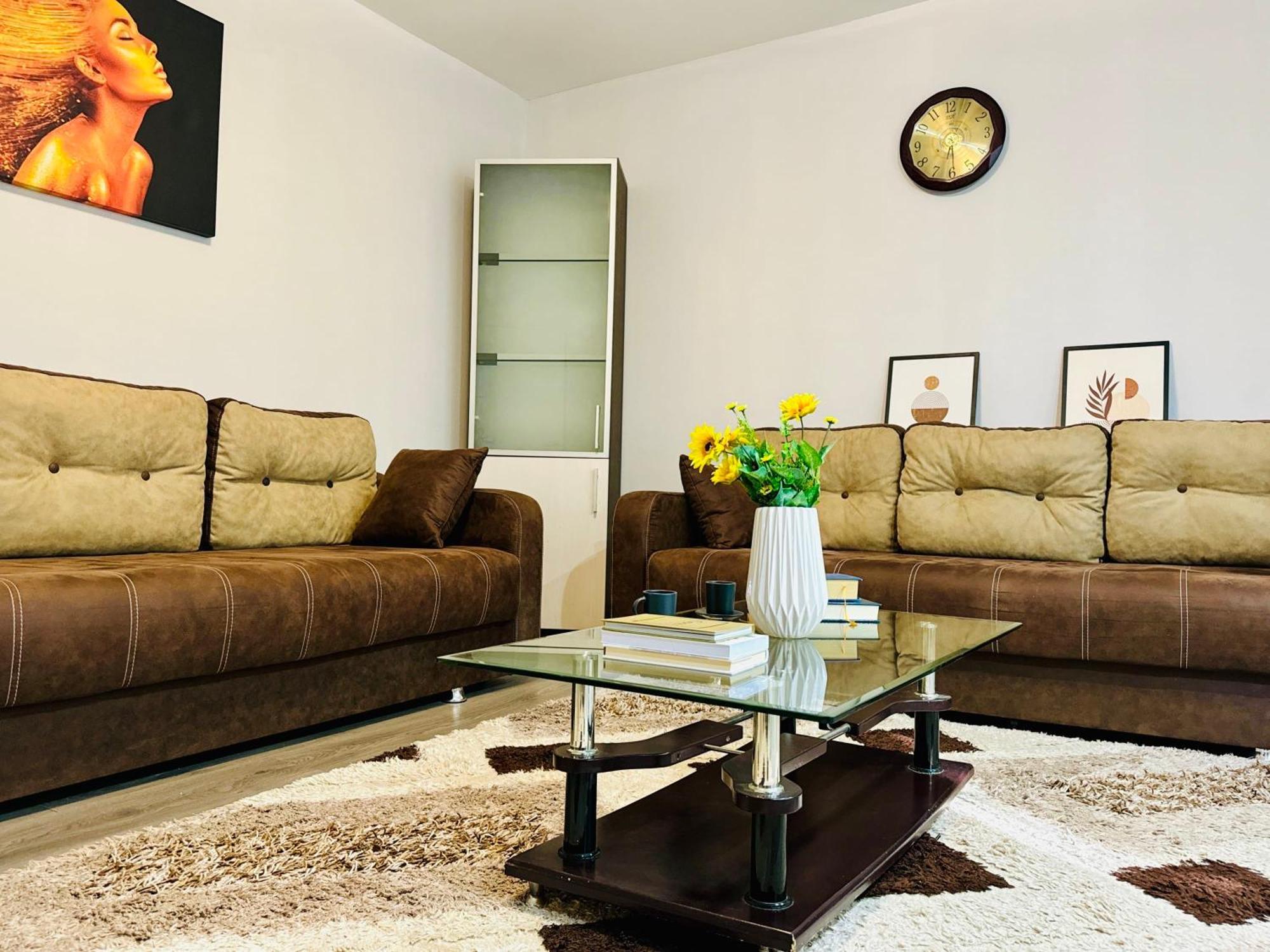 טימישוארה Joy City Stay Spacious Comfortable מראה חיצוני תמונה